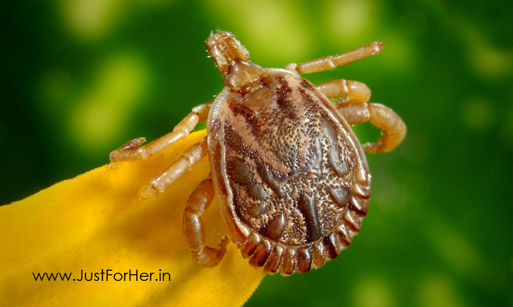 Five Sexually Transmitted Diseases That You Should Be Aware Of