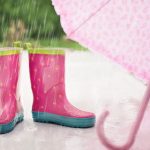 Wet In Rain – Do This When You Reach Home
